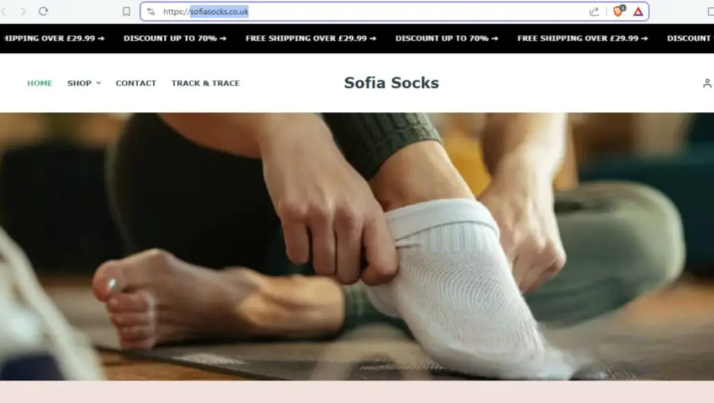 Let | De Reviews's Find Out Sofiasocks is Fake Or Real Through This Sofiasocks Review.