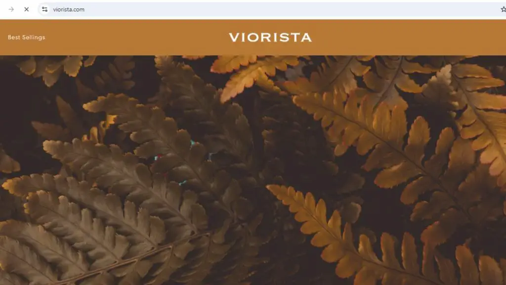 Let | De Reviews's Find Out Viorista is Fake Or Real Through This Viorista Review.