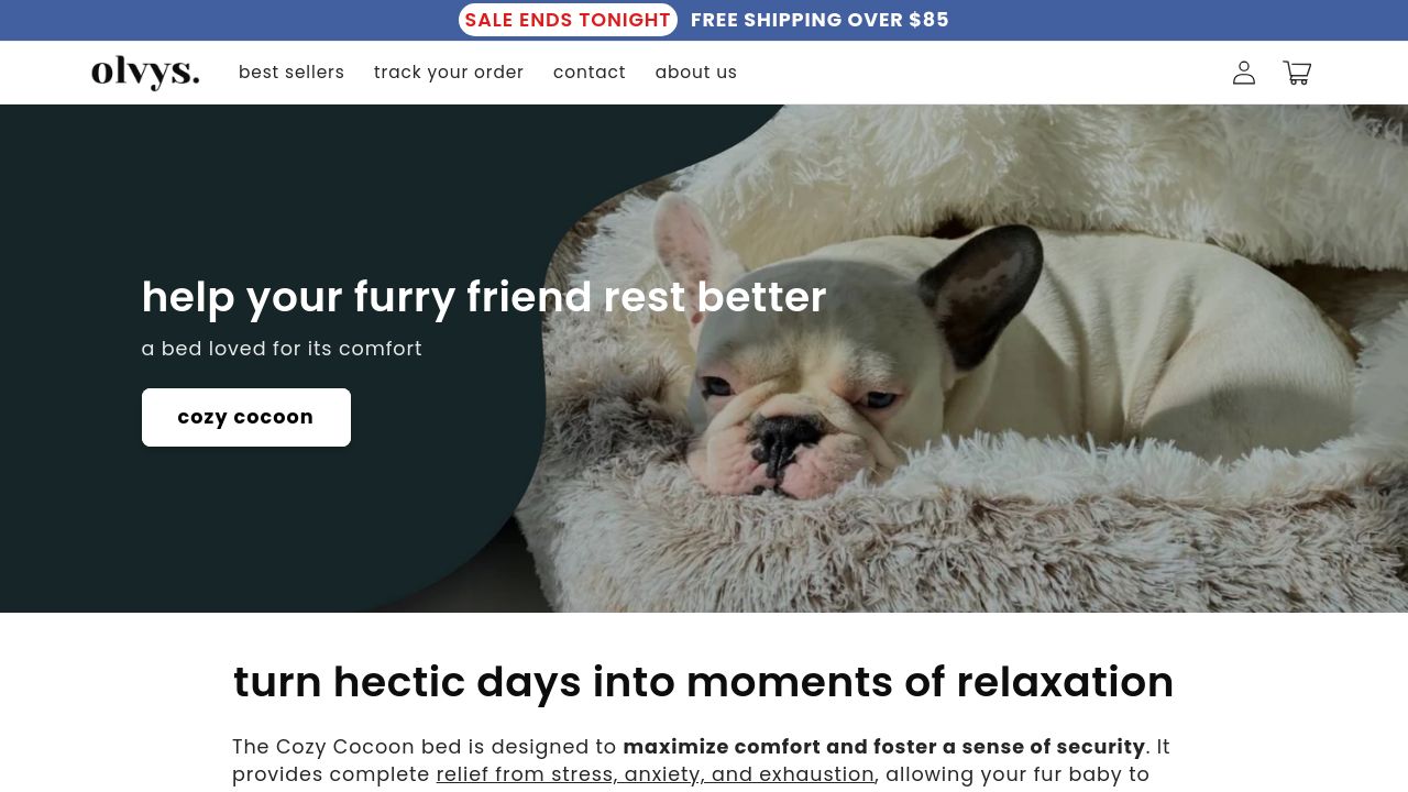 Screenshot of Olvys.com