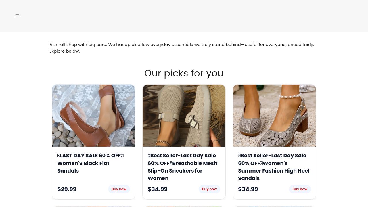 Screenshot of Selinshoe.com