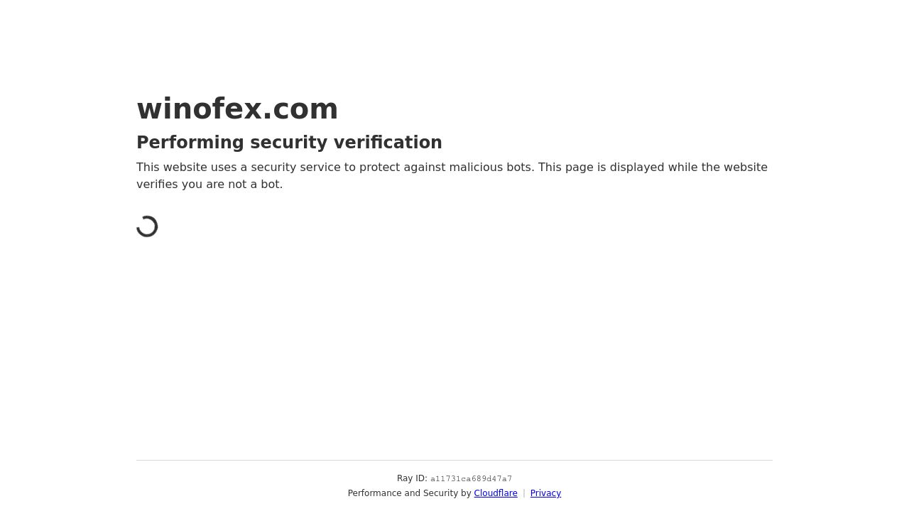Screenshot of Winofex.com