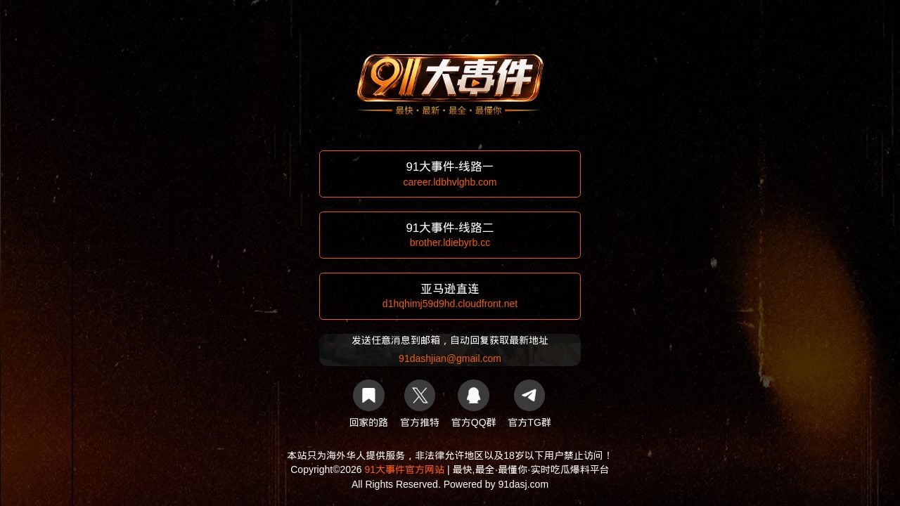 Screenshot of 91dsj58.com