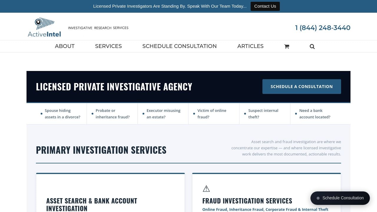 Screenshot of Activeintel.com