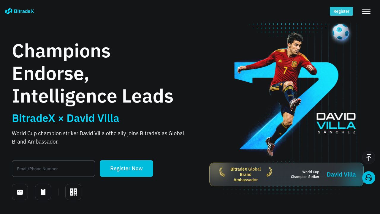 Screenshot of Bitradex.com