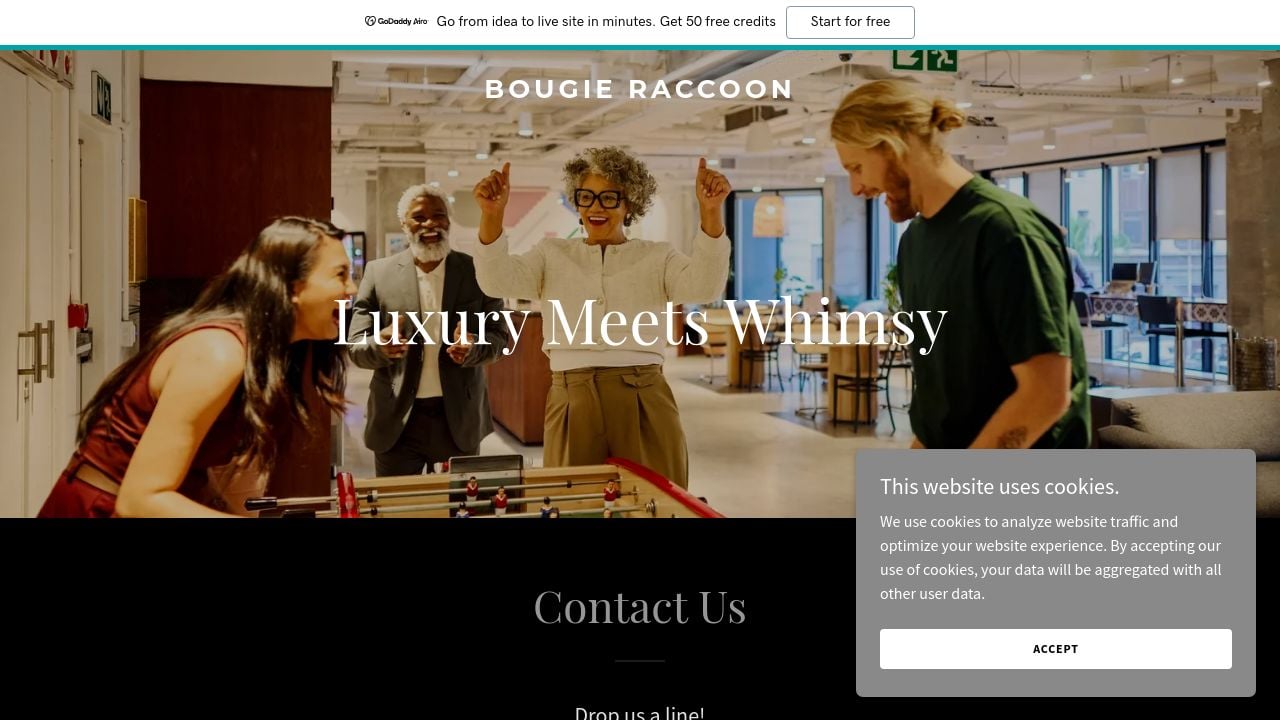 Screenshot of Bougieraccoon.com