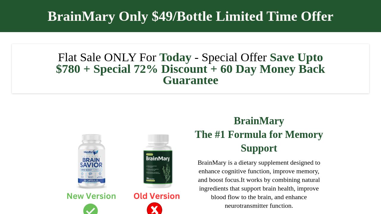 Screenshot of Brainmary.org