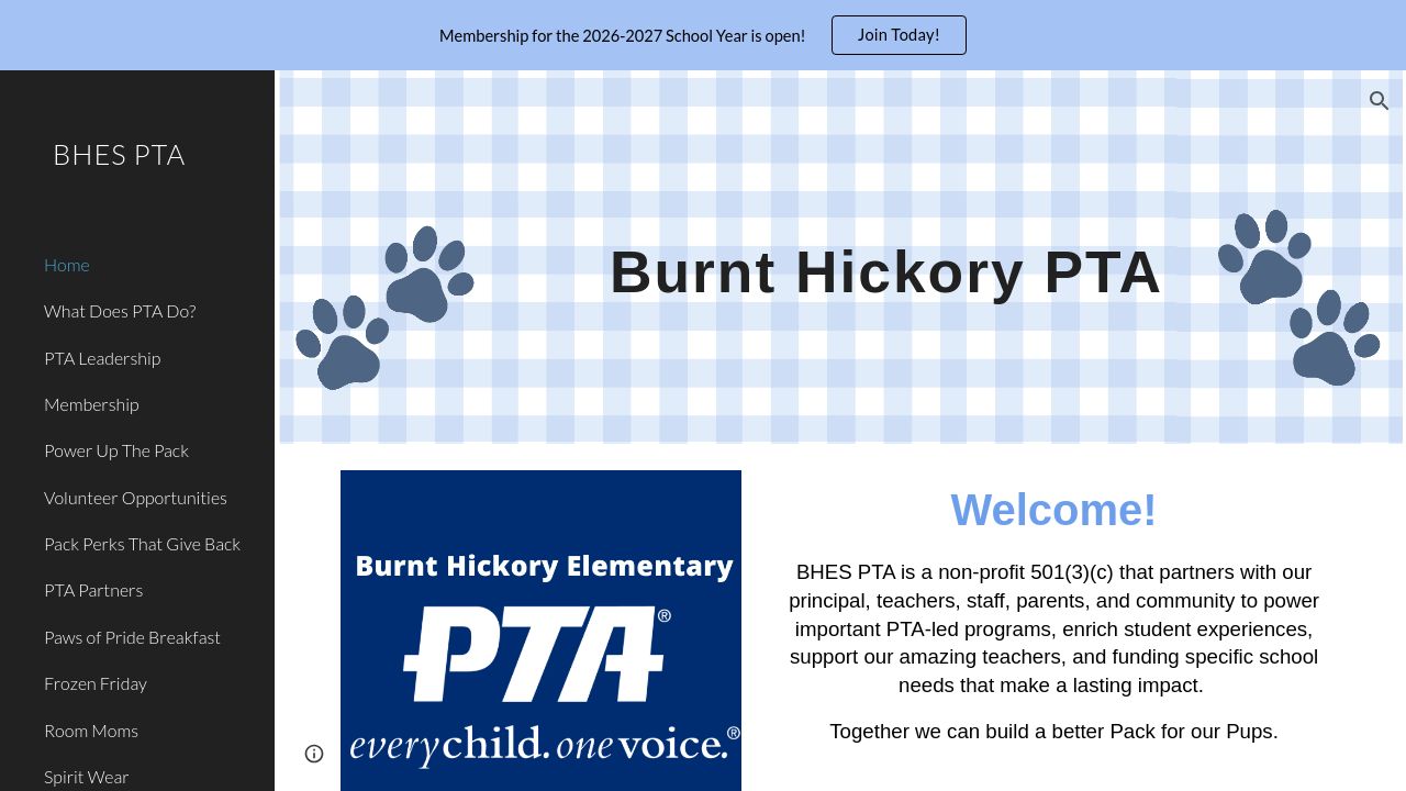 Screenshot of Burnthickorypta.org