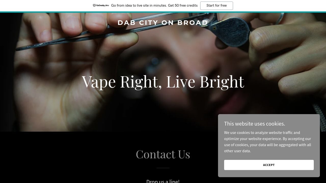 Screenshot of Dabcityonbroad.com
