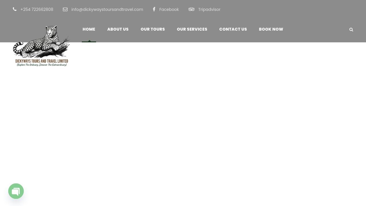 Screenshot of Dickywaystoursandtravel.com