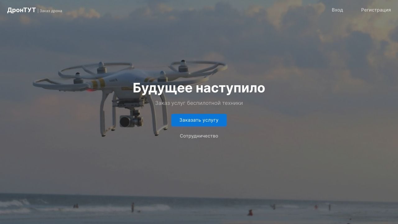 Screenshot of Drontut.ru