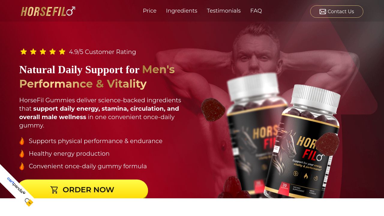 Screenshot of Horsefil.store
