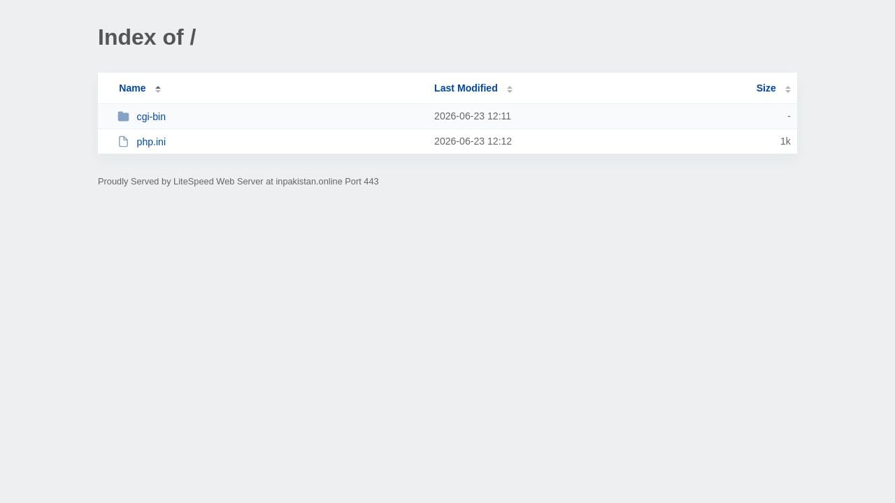 Screenshot of Inpakistan.online