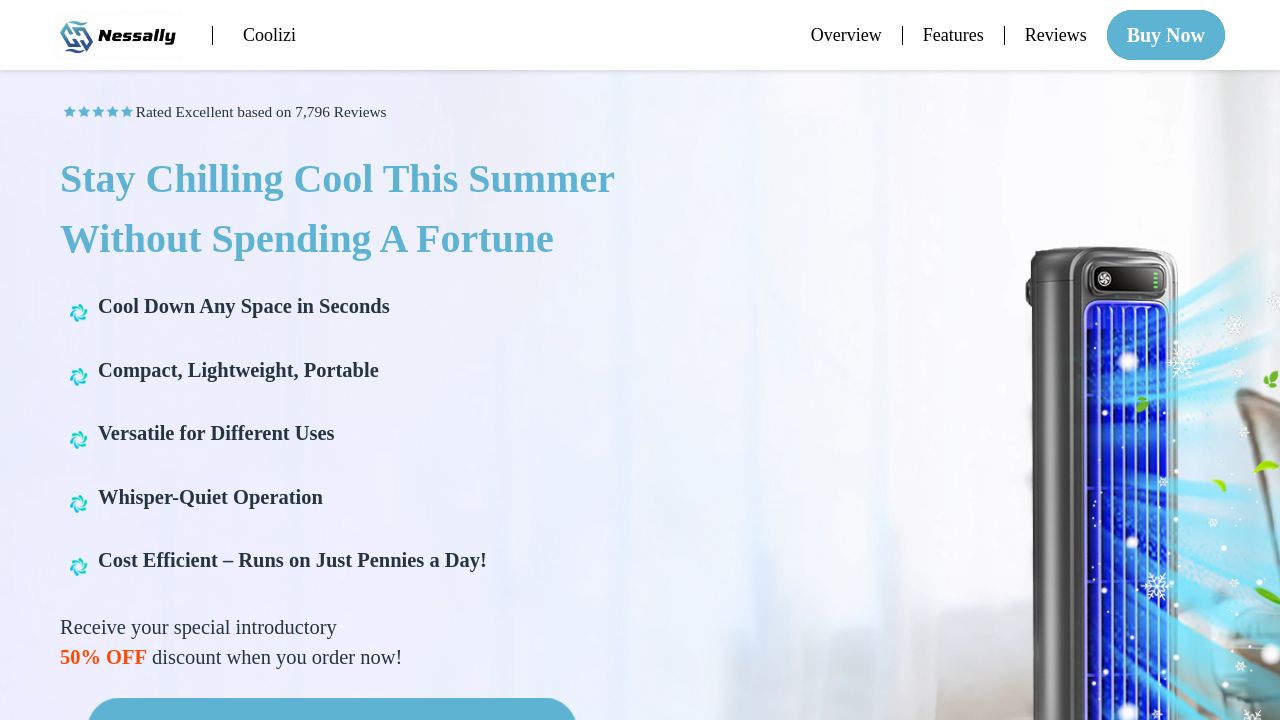 Screenshot of Nessally.net