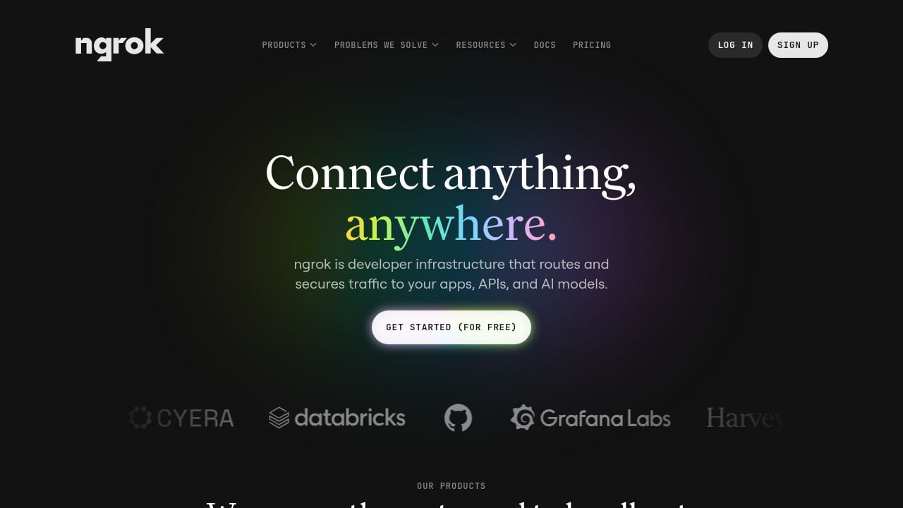 Screenshot of Ngrok.io