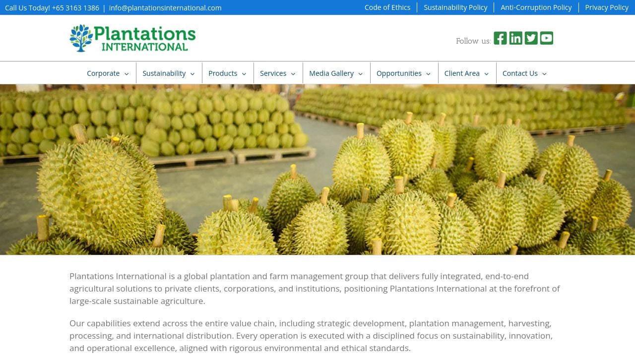 Screenshot of Plantationsinternational.com