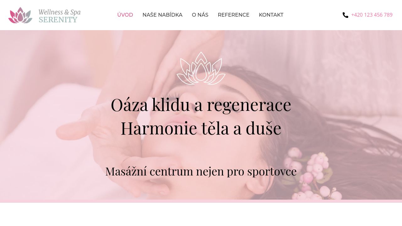 Screenshot of Plzenskemasaze.cz