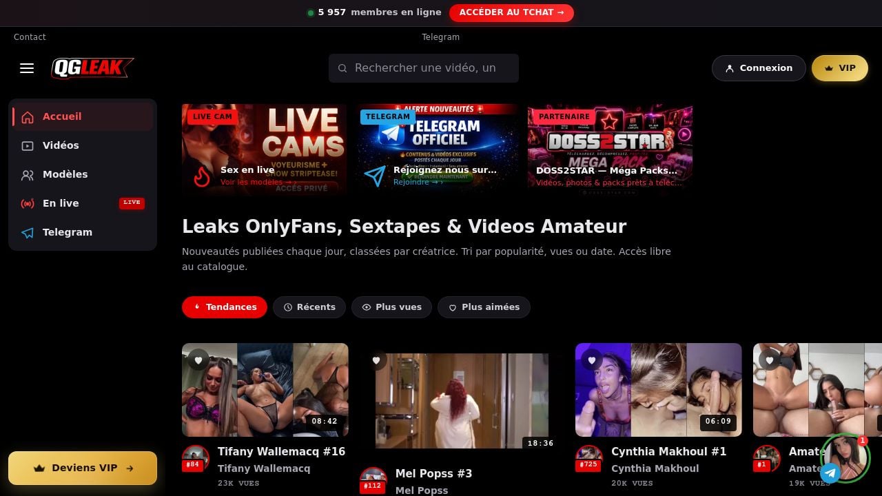 Screenshot of Qgleak.com