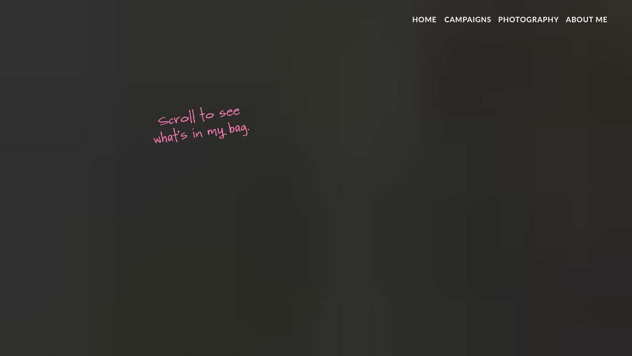 Screenshot of Sannevdboogaard.nl