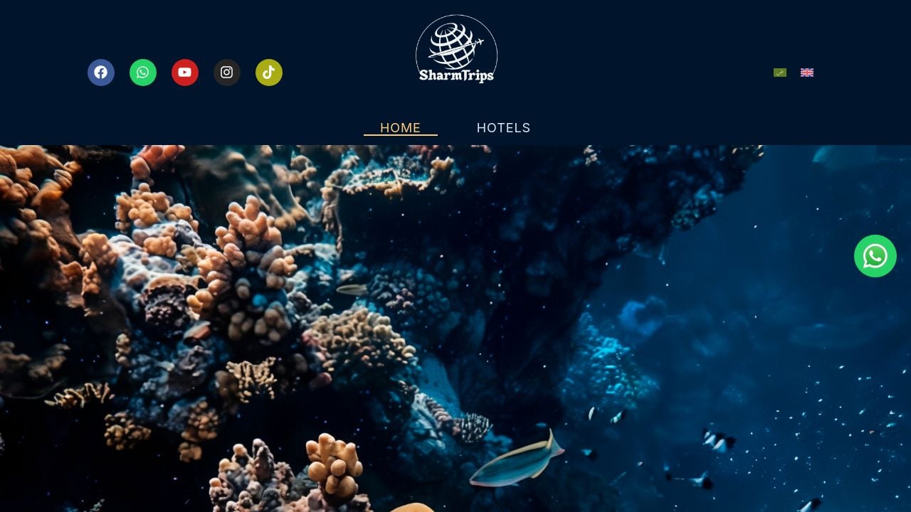 Screenshot of Sharmtripsbooking.com