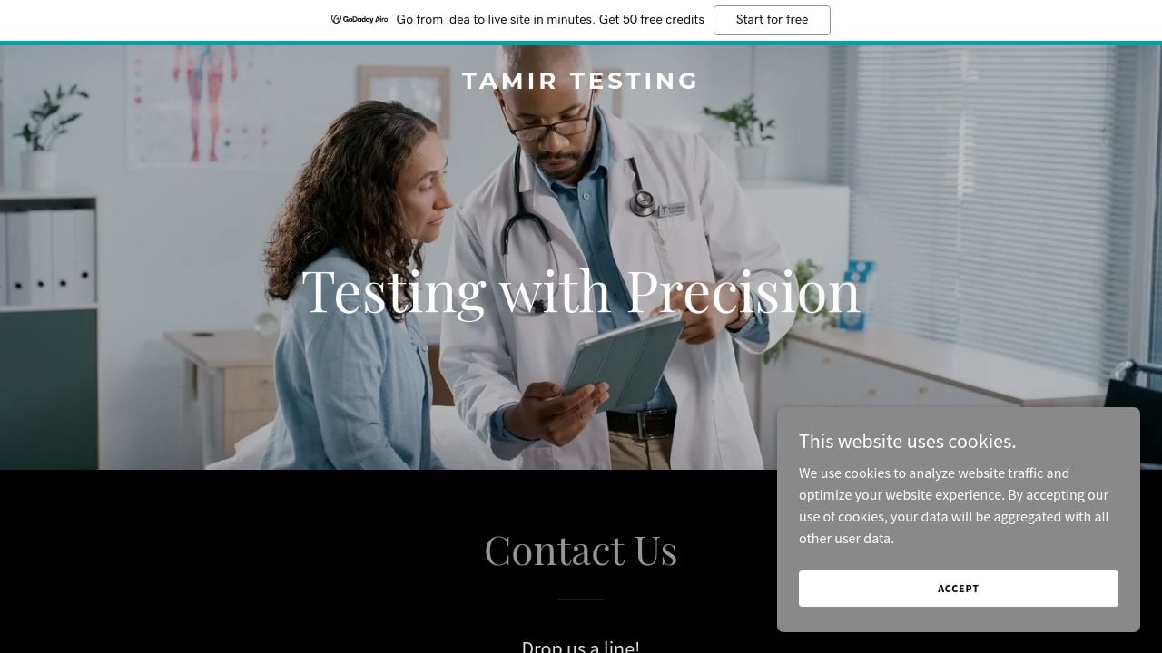 Screenshot of Tamirtesting.xyz