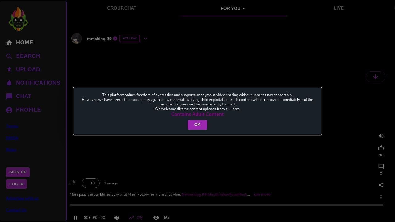 Screenshot of Viraly.lol