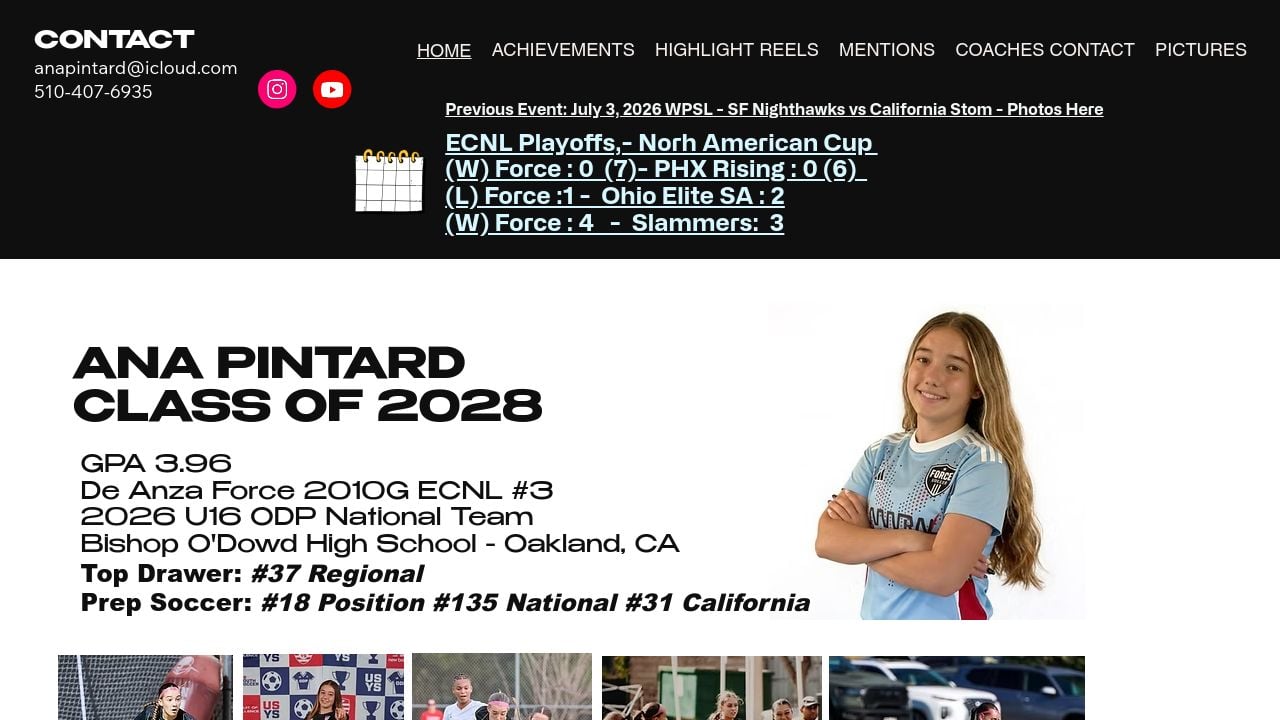 Screenshot of Anapintard.com