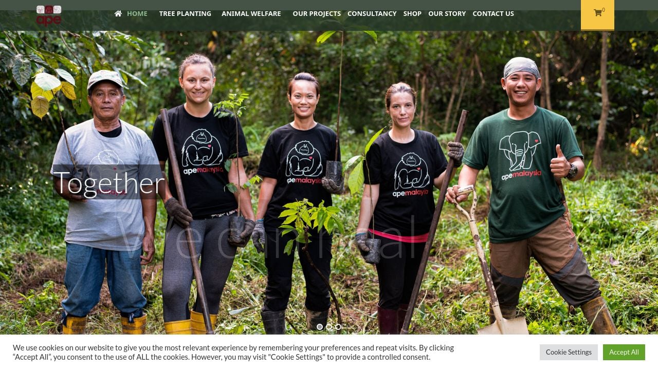Screenshot of Apemalaysia.com