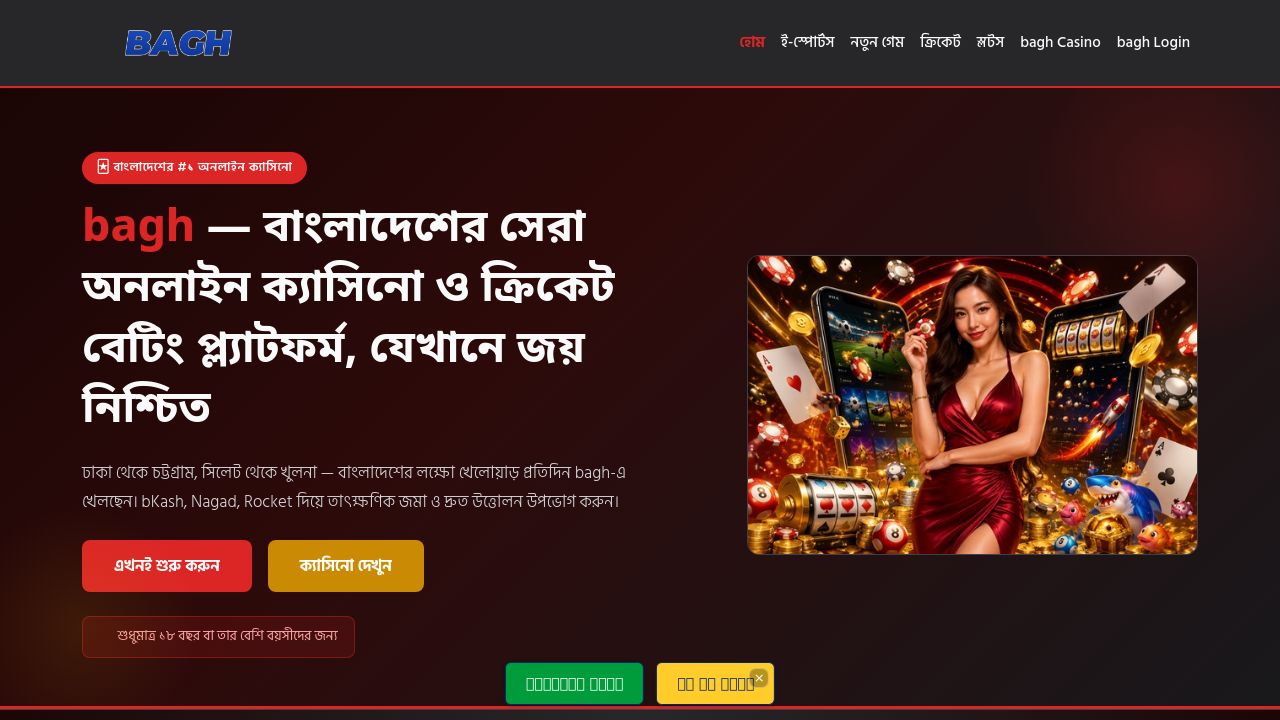 Screenshot of Ba-gh.net