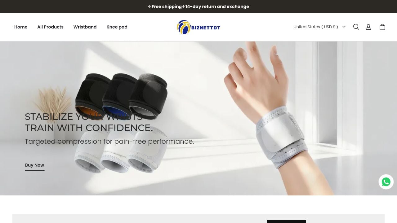 Screenshot of Biznettdt.com