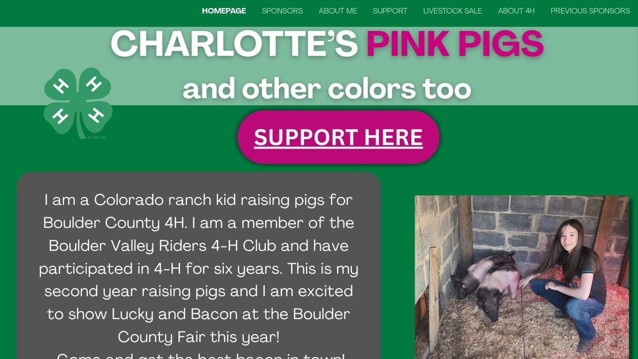 Screenshot of Charlottespigs.com