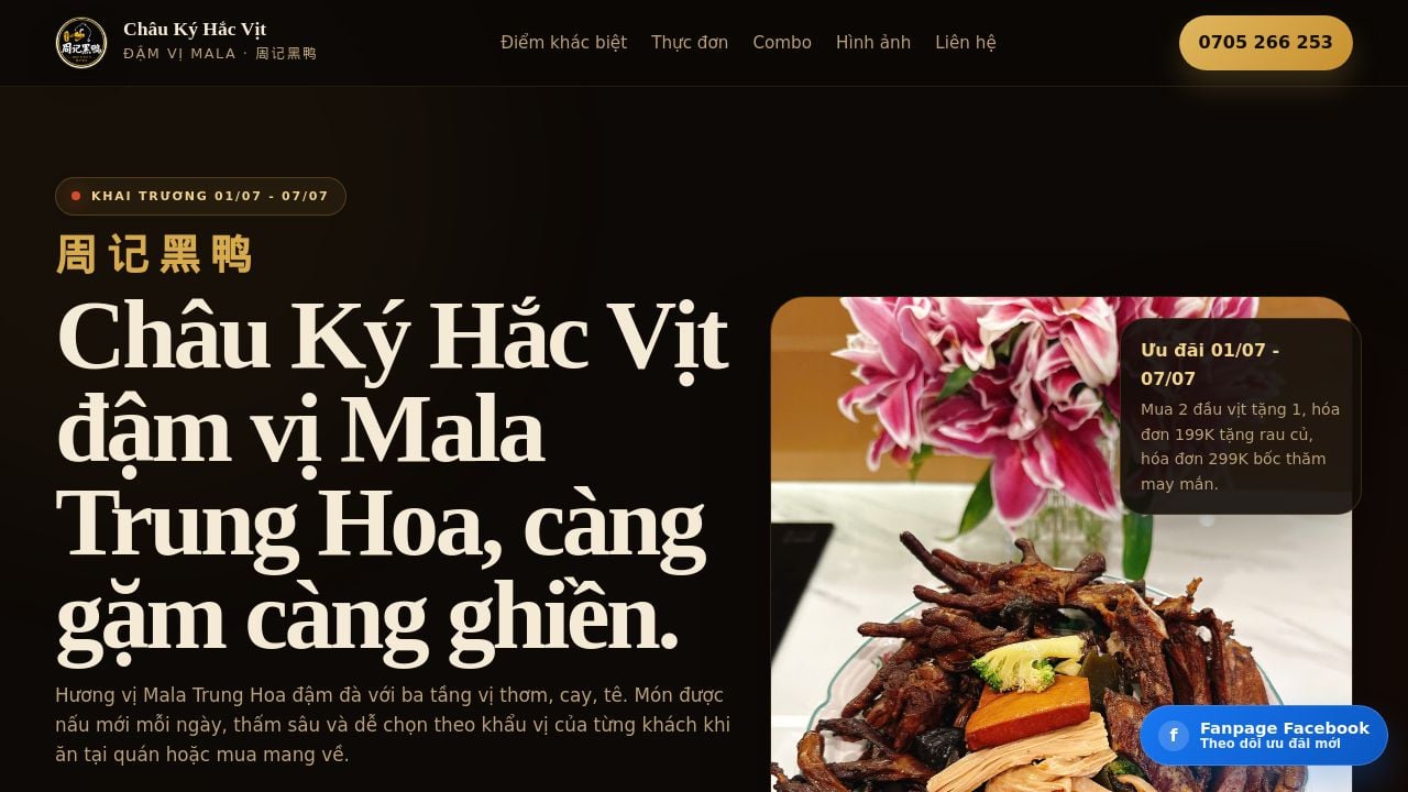 Screenshot of Chaukyhacvit.com