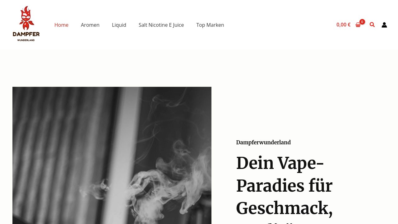 Screenshot of Dampferwunderland.com