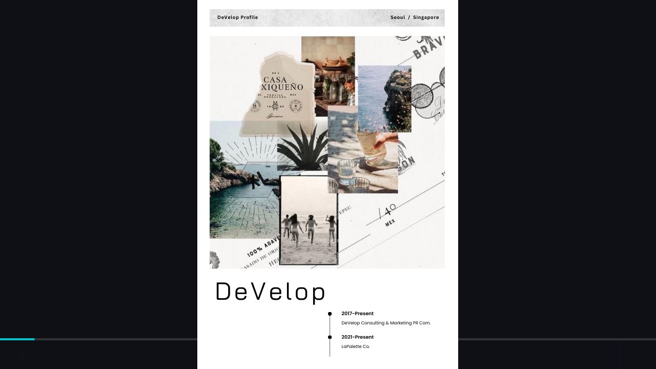 Screenshot of Develop-pr.com
