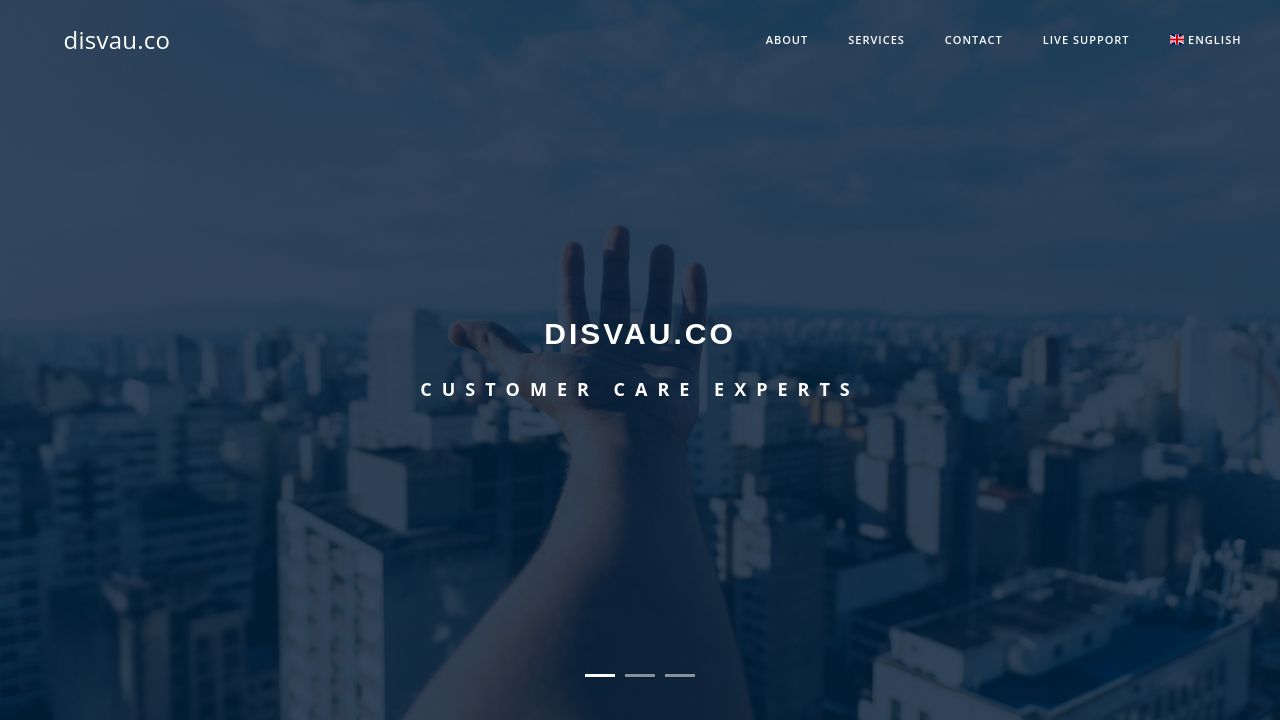 Screenshot of Disvau.co