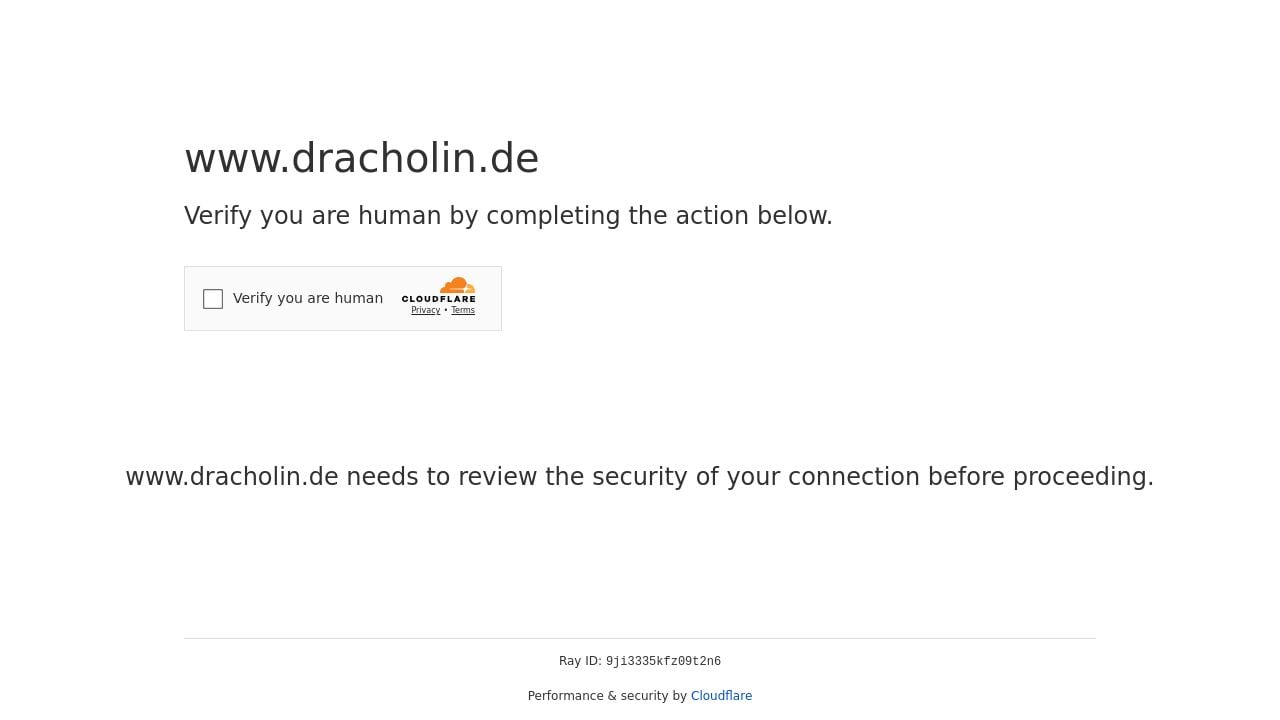 Screenshot of Dracholin.de