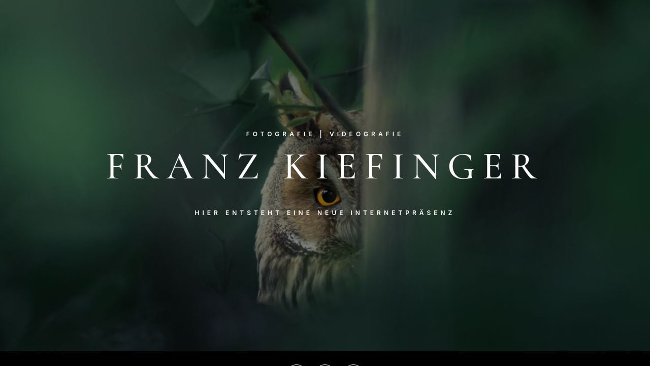Screenshot of Franz-kiefinger.de
