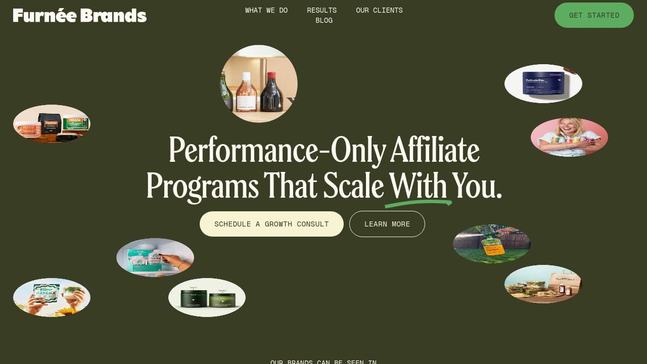 Screenshot of Furneebrandsvoyage.co