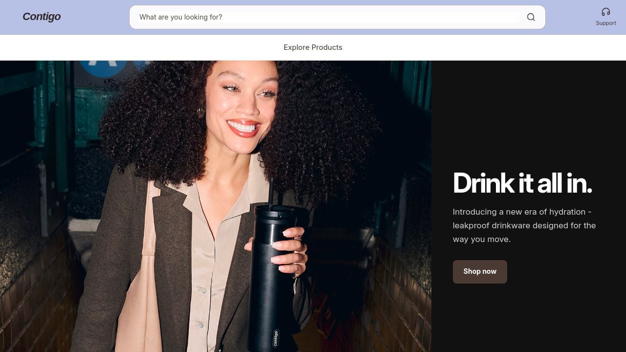 Screenshot of Gocontigopoint.store