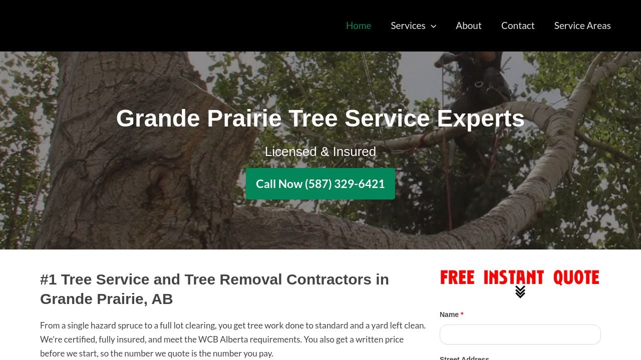 Screenshot of Grandeprairietreeservice.com