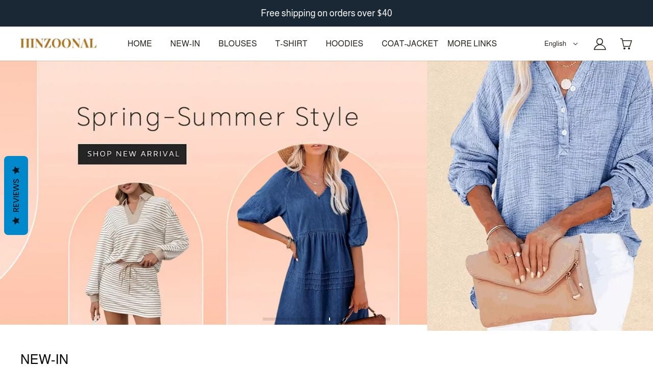 Screenshot of Hinzoonal.com