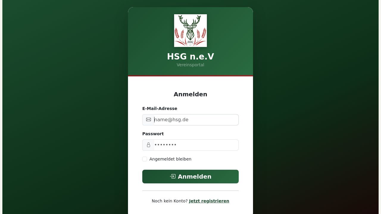 Screenshot of Hsgnev.de