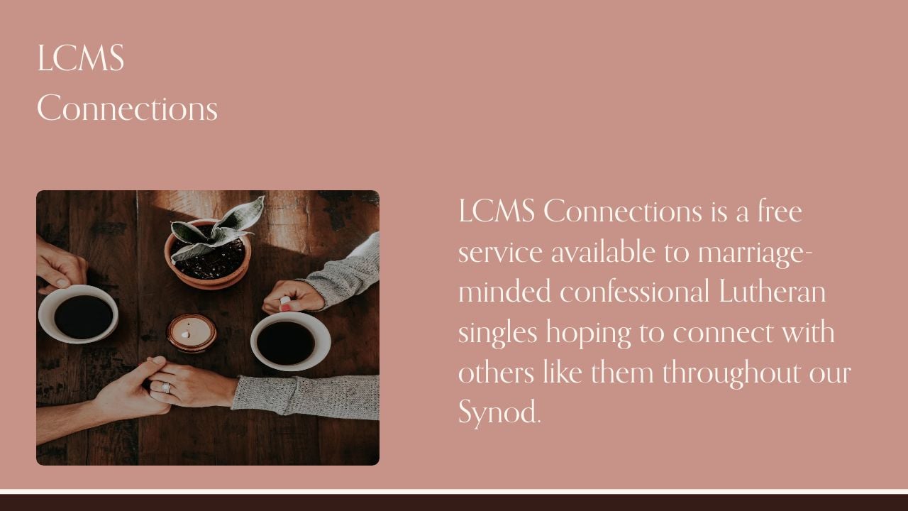 Screenshot of Lcmsconnections.org