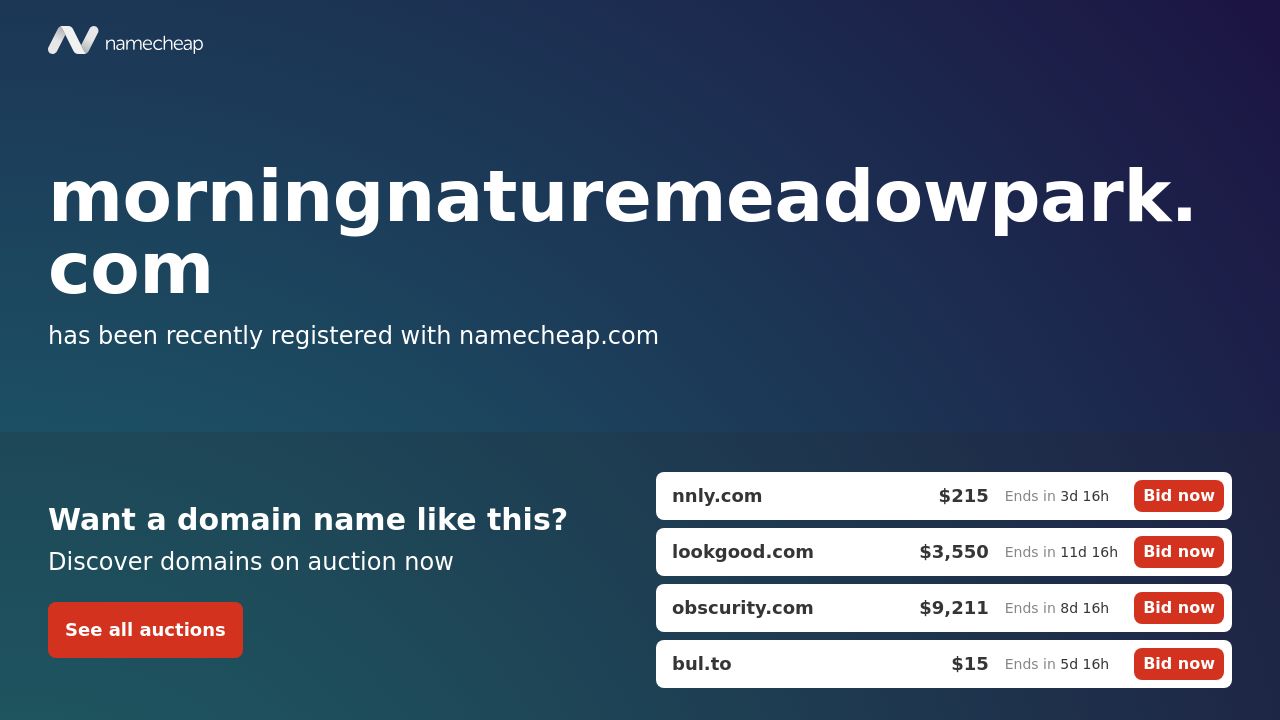 Screenshot of Morningnaturemeadowpark.com