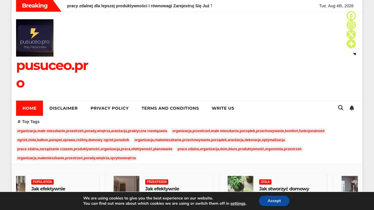 Screenshot of Pusuceo.pro