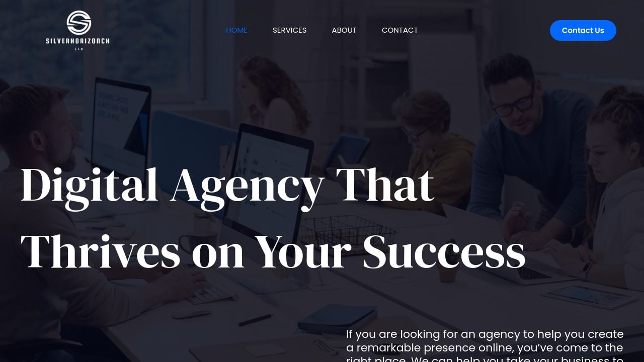 Screenshot of Silverhorizonchllc.com