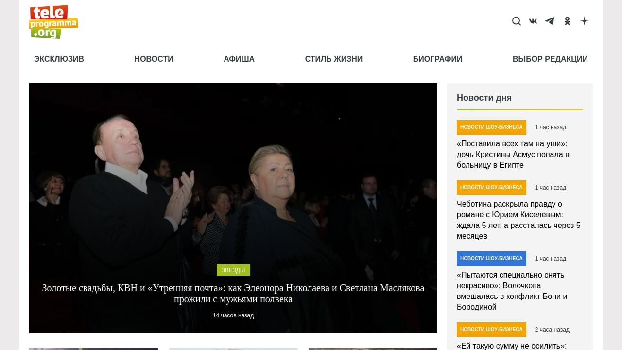 Screenshot of Teleprogramma.pro