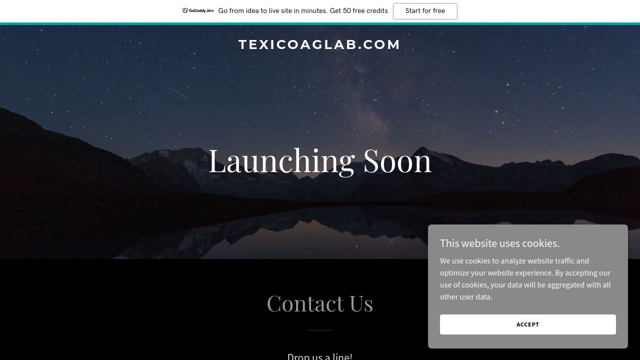 Screenshot of Texicoaglab.com