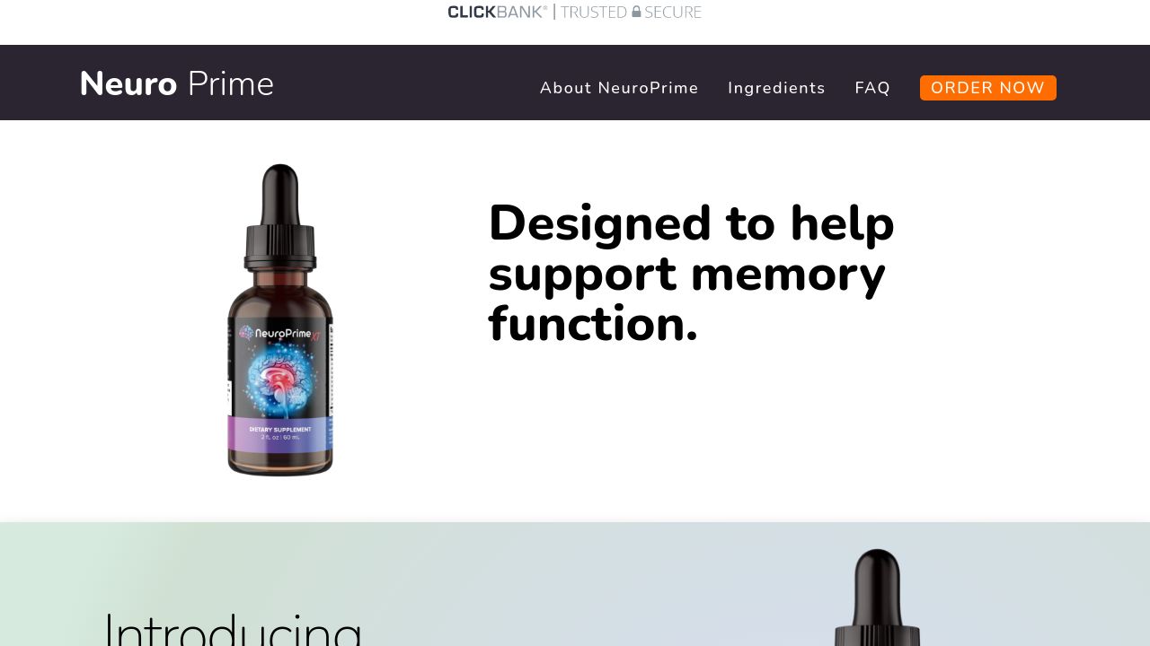 Screenshot of Theneuroprime.com