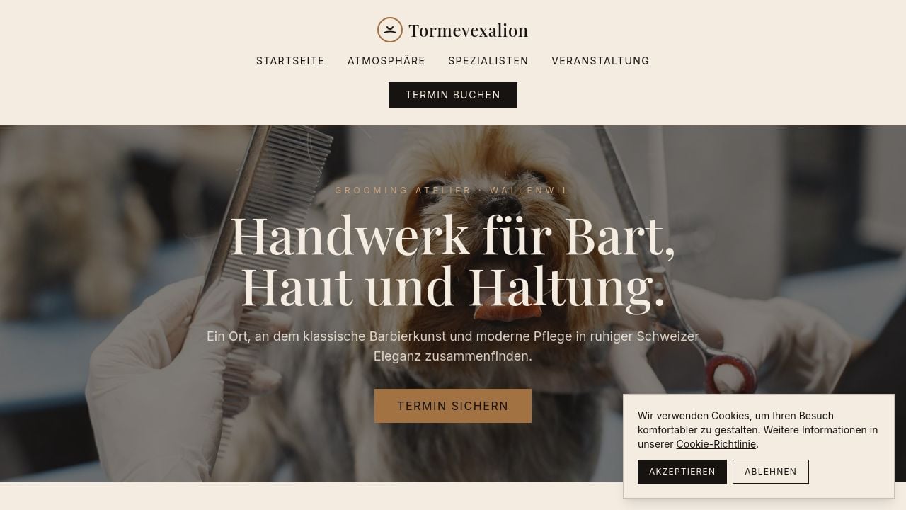 Screenshot of Tormevexalion.click
