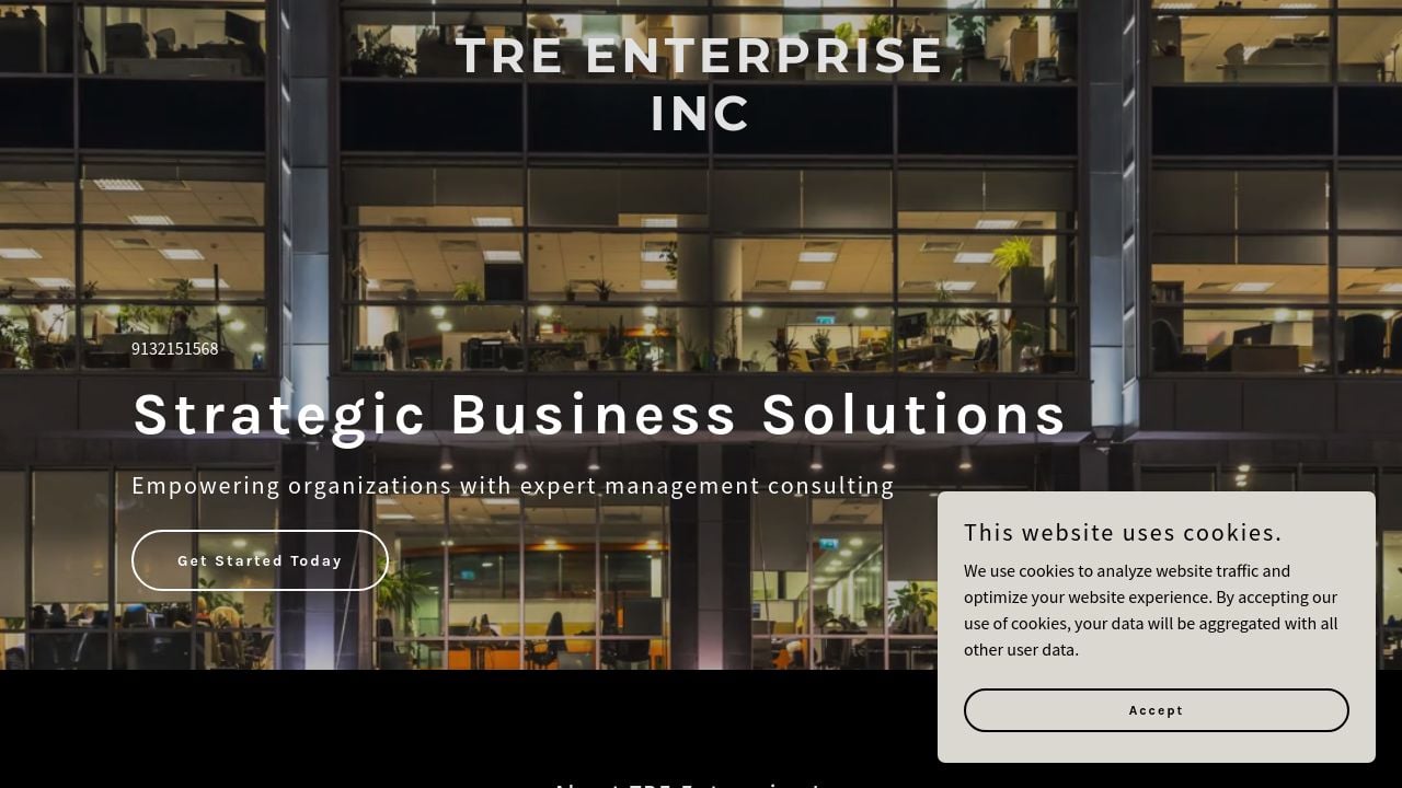 Screenshot of Treenterpriseinc.com